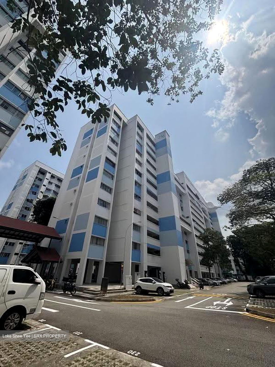 Blk 236 Tampines Street 21 (Tampines), HDB 4 Rooms #628408361